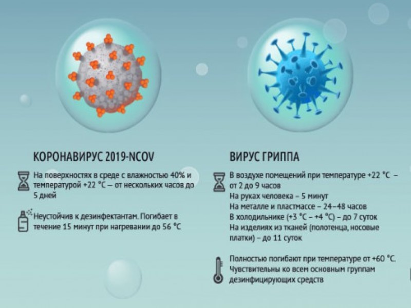 Тридемия: что это такое и как себя защитить от вирусов.