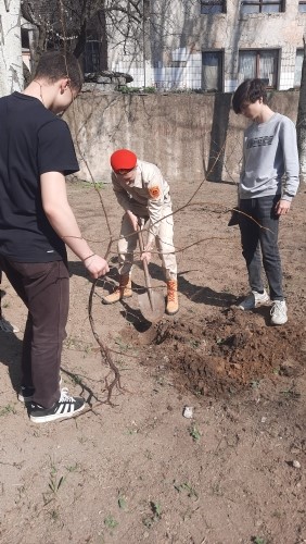 Акция “Сад памяти”.