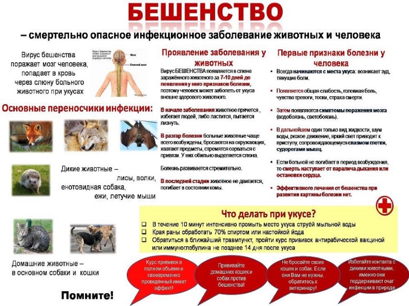 Полезная информация!.