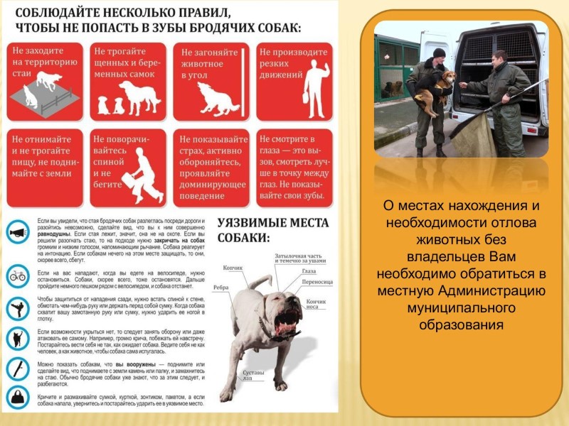 Обратите внимание!.