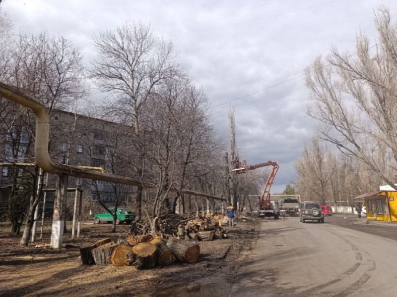 В Торезе ведутся работы по спилу аварийных деревьев.