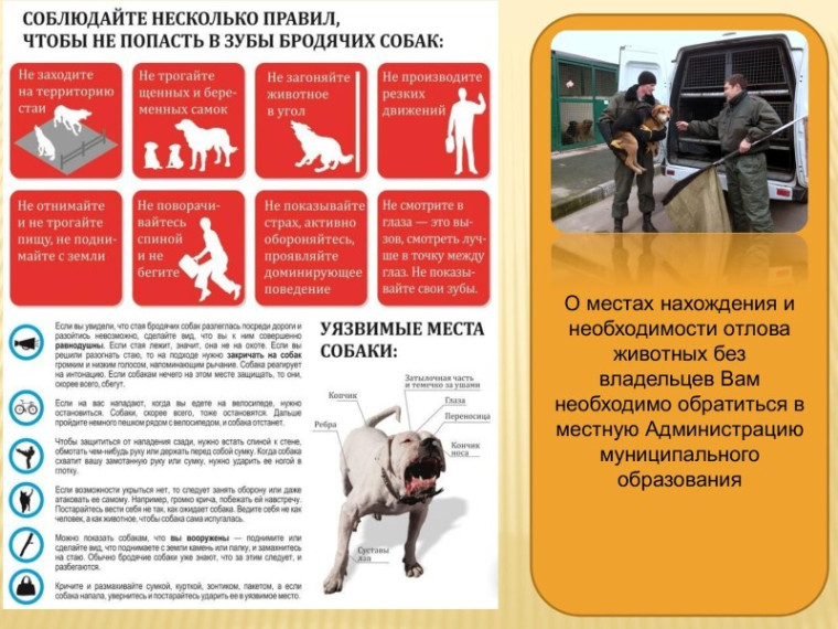 Полезная информация!. Полезная информация!.