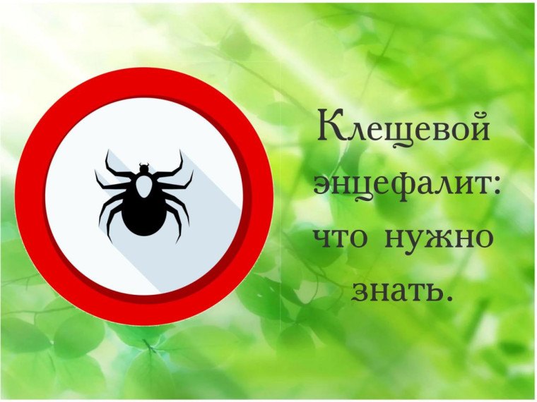 Клещевой вирусный энцефалит. Клещевой вирусный энцефалит.